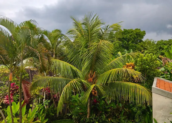Jepun House Villa Ubud